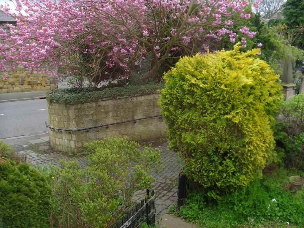 The Old Vicarage Bed and Breakfast Belford Εξωτερικό φωτογραφία